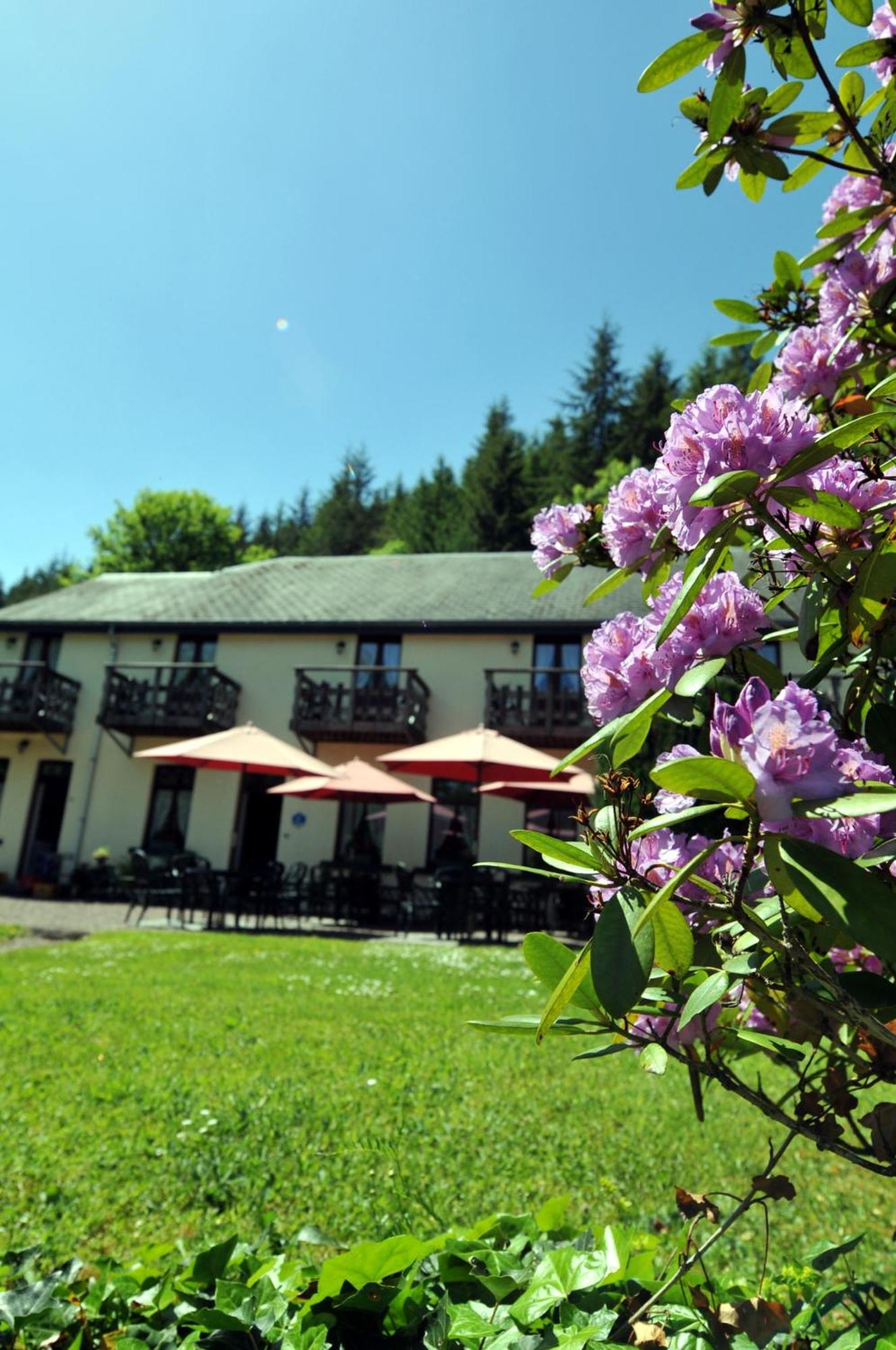 Hotel Gai-Sejour La-Roche-en-Ardenne Exteriér fotografie